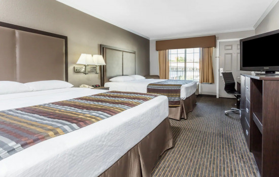 Signature Inn Mountain View - Guest Room